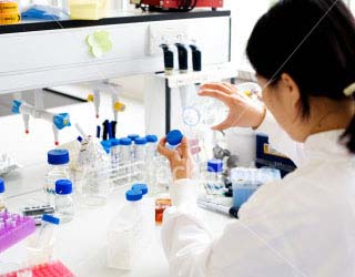 Excellence in Nutrition Research and Practice